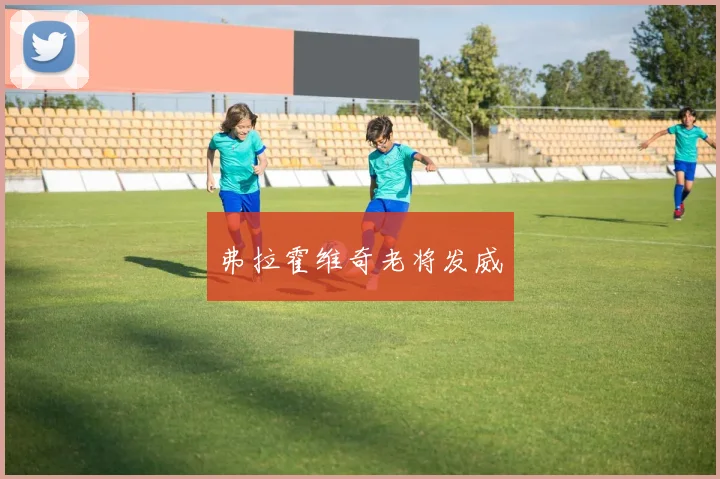 弗拉霍维奇老将发威
