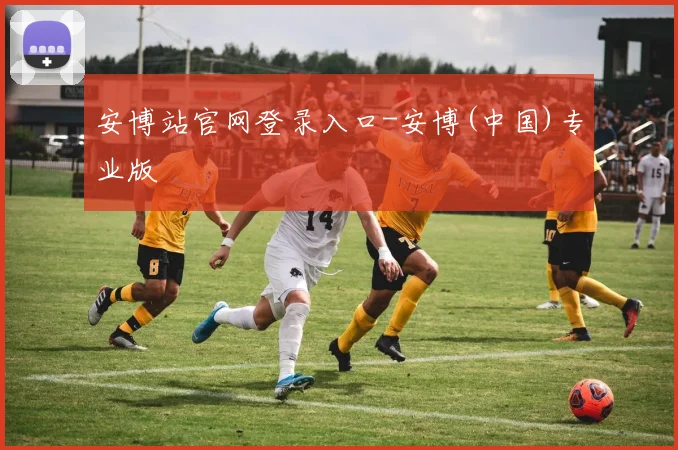 安博站官网登录入口-安博(中国)专业版