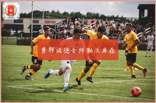费耶诺德会师勒沃库森