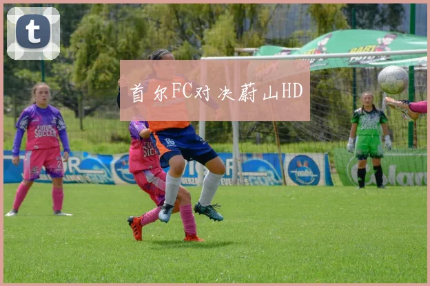 首尔FC对决蔚山HD