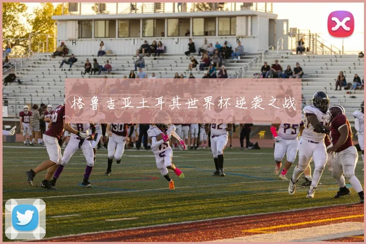 格鲁吉亚土耳其世界杯逆袭之战
