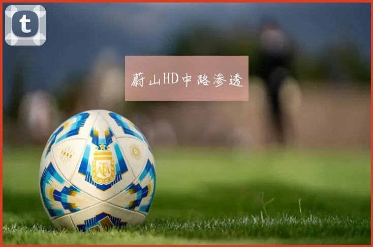 蔚山HD中路渗透