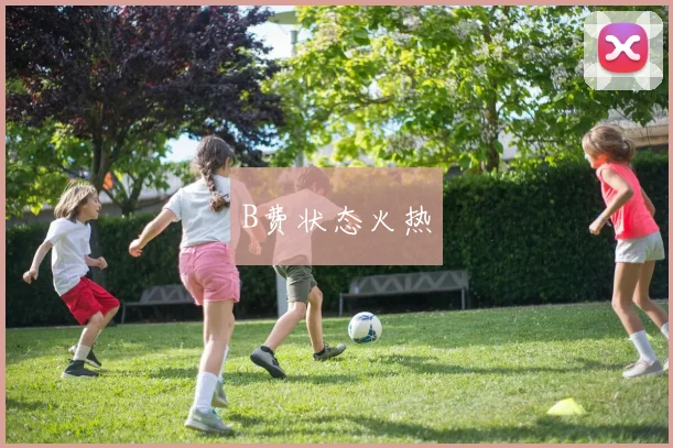 B费状态火热