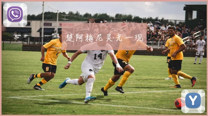 楚阿梅尼灵光一现