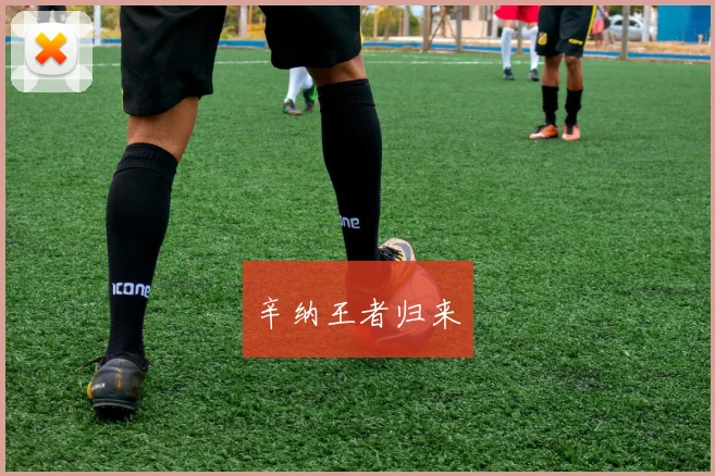 辛纳王者归来