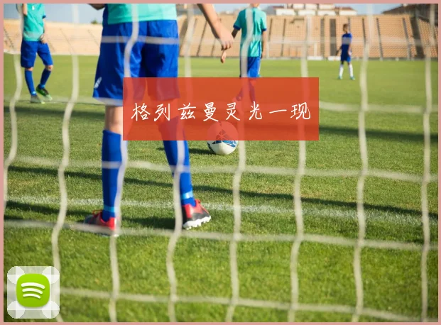 格列兹曼灵光一现