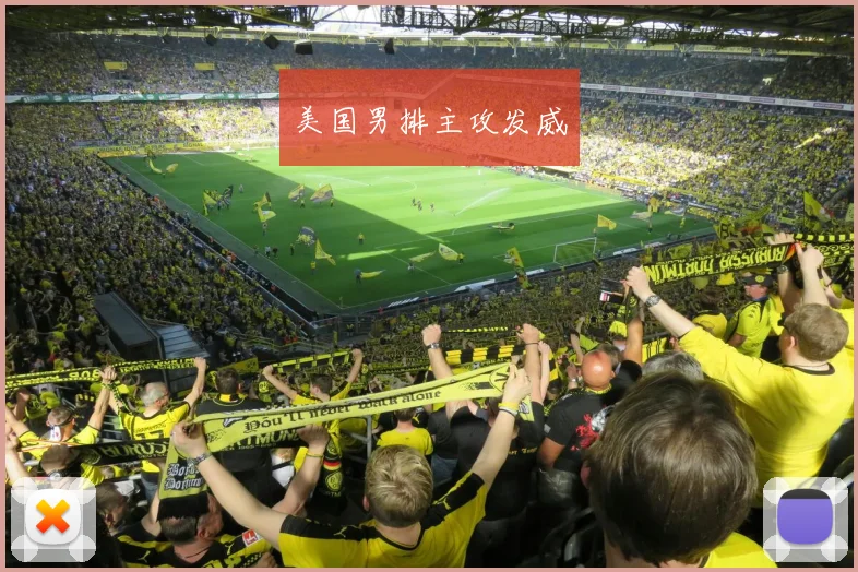 美国男排主攻发威