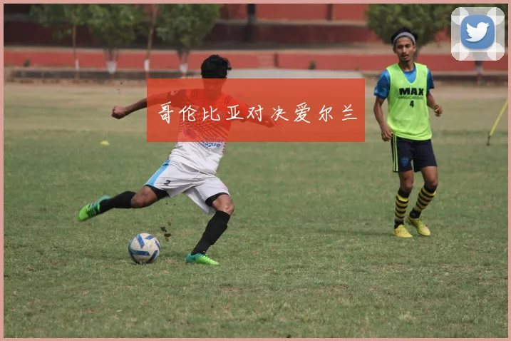 哥伦比亚对决爱尔兰