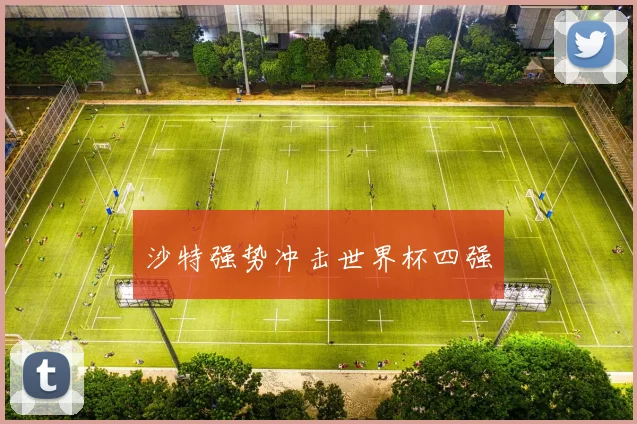 沙特强势冲击世界杯四强