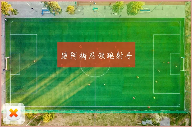楚阿梅尼领跑射手