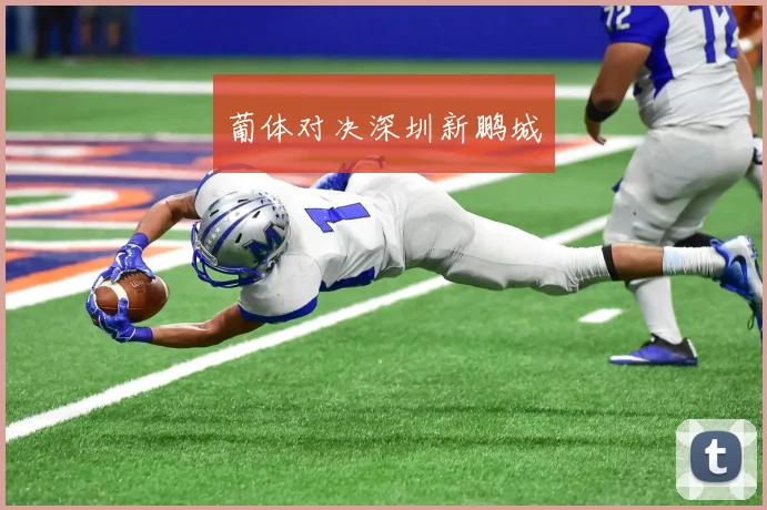 葡体对决深圳新鹏城