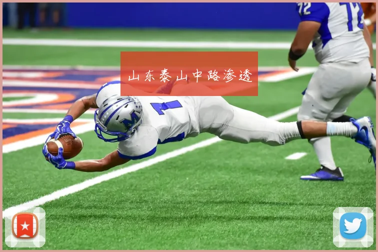 山东泰山中路渗透