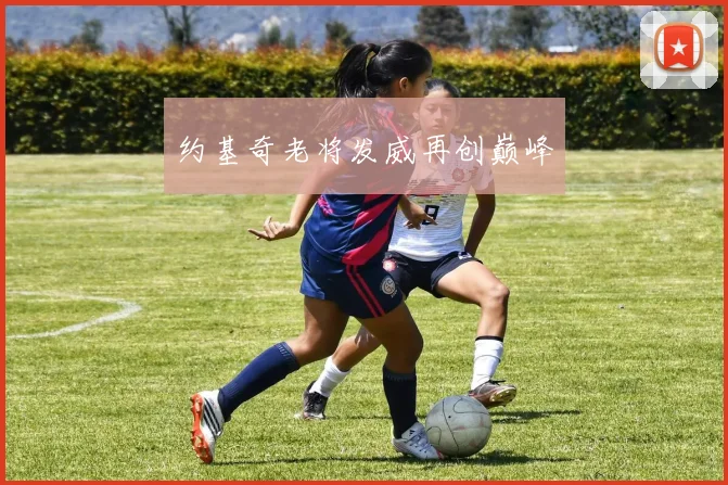 约基奇老将发威再创巅峰