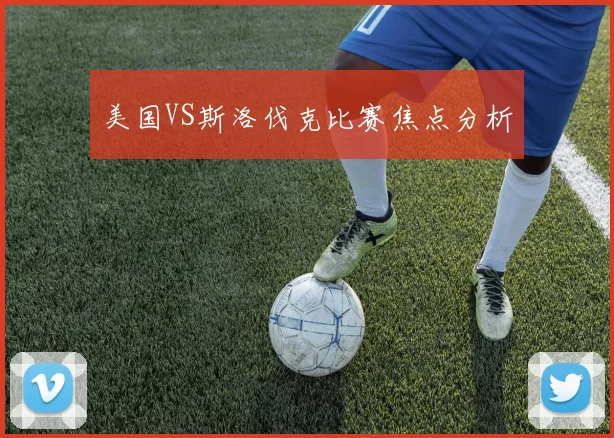 美国VS斯洛伐克比赛焦点分析