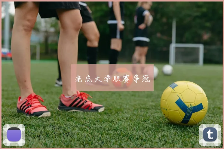 老虎大学联赛争冠