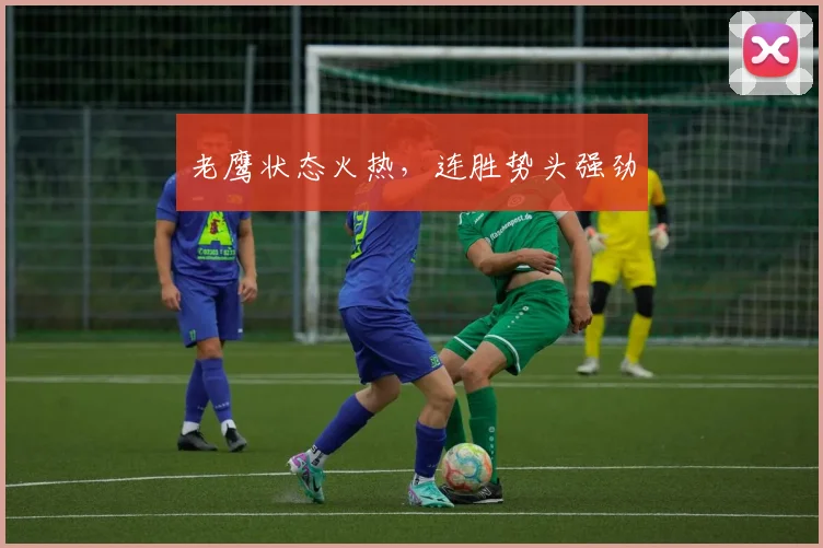 老鹰状态火热，连胜势头强劲