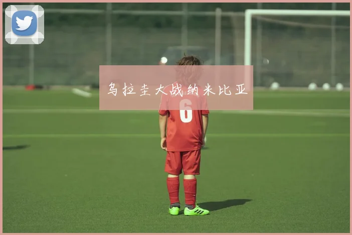 乌拉圭大战纳米比亚