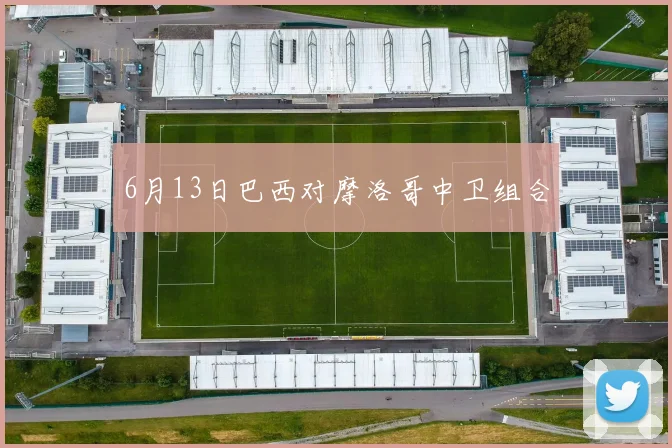 6月13日巴西对摩洛哥中卫组合