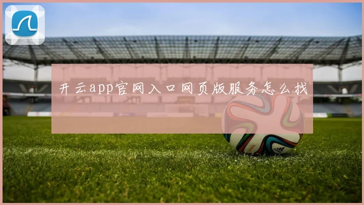 开云app官网入口网页版服务怎么找