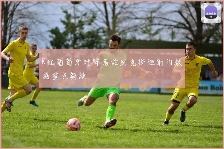 K组葡萄牙对阵乌兹别克斯坦射门数据重点解读